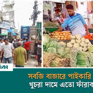 সিলেটে সবজি বাজারে পাইকারি ও খুচরা দামে বিশাল ফাঁরাক