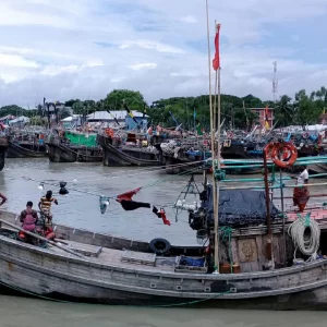 ইলিশ সংকটে পটুয়াখালীর জেলে পরিবারে হতাশা 