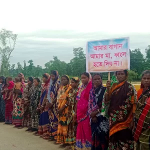 বালু ও পাথর খেকোদের হাত থেকে জাফলং চা-বাগান রক্ষায় মানববন্ধন