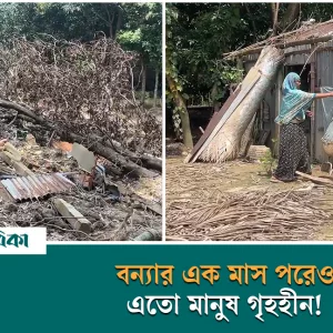 বন্যার এক মাস পরেও গৃহহীন মানুষ, পূনর্বাসনে নেই তৎপরতা