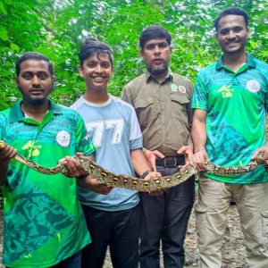 কাপ্তাইয়ে উদ্ধারের পর বনে ছাড়া হলো ৭ কেজি ওজনের অজগর 