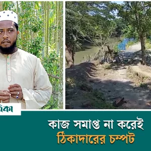 পিরোজপুরের নেছারাবাদে রাস্তার কাজ ফেলেই চলে গেলেন ঠিকাদার