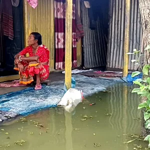 রাজবাড়ীর পাংশা: ২০ বছর ধরে দুর্ভোগে প্রথম শ্রেণির পৌরবাসী