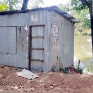 কাজের কথা বলে কুমিল্লায় ডেকে এনে হত্যার পর মাটিচাপা