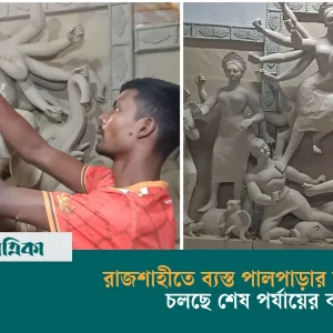 রাজশাহীতে ব্যস্ত পালপাড়ার কারিগরেরা, চলছে শেষ পর্যায়ের কাজ