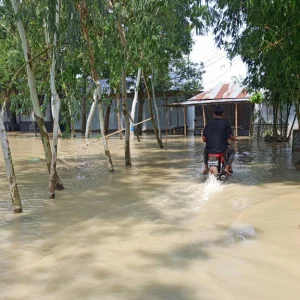 বিপৎসীমা ছুঁইছুঁই তিস্তা, বন্যার শঙ্কায় নদীতীরের মানুষ