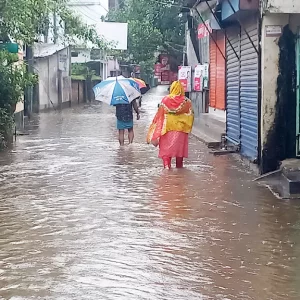 চাঁদপুরে ২৪ ঘণ্টায় জেলার সর্বোচ্চ ২৭৭ মিলিমিটার বৃষ্টিপাত রেকর্ড