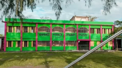 পিরোজপুরের নেছারাবাদ উপজেলার স্বরূপকাঠি সরকারি প্রাথমিক বিদ্যালয়। ছবি: আজকের পত্রিকা