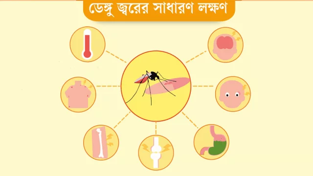 সচেতনতায় ডেঙ্গু প্রতিরোধ সম্ভব | It is possible to prevent dengue with  awareness