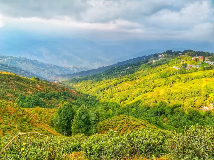 হ্যাপি ভ্যালি চা বাগান